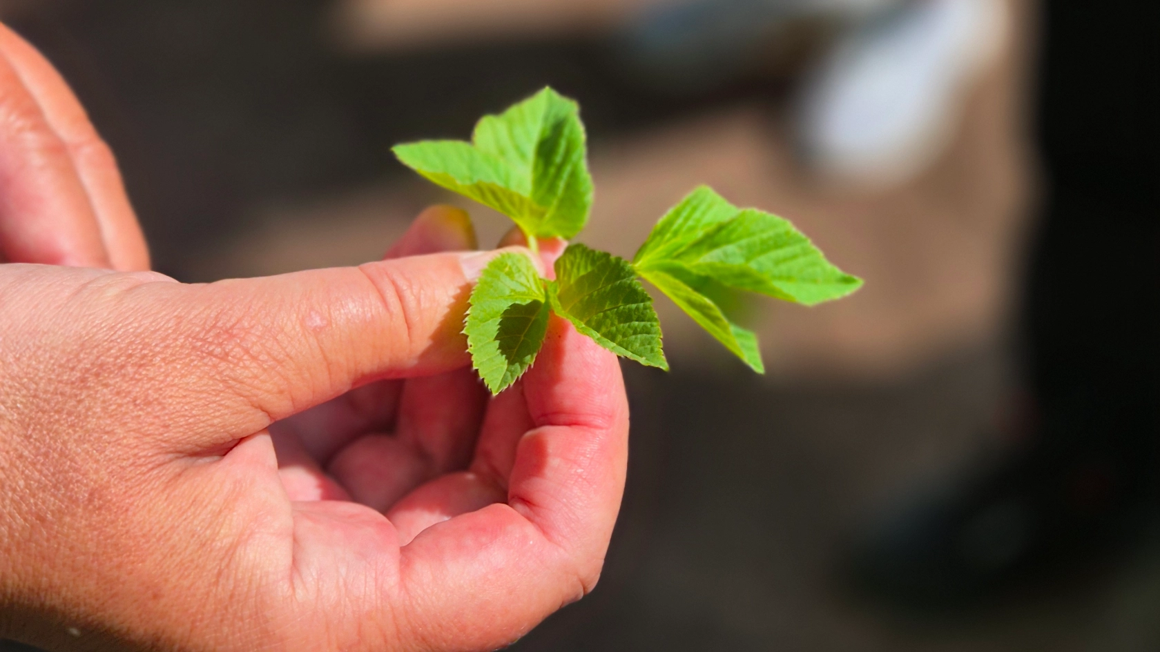 AGA_Eisenach_Naturworkshop