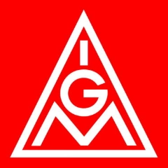 Logo IGM
